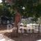 Alexandros House_best deals_Hotel_Cyclades Islands_Sifnos_Sifnos Chora