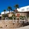 Paradise Beach Rooms & Apartments_travel_packages_in_Cyclades Islands_Mykonos_Mykonos Chora