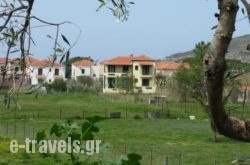 Elektra Apartments & Studios in Petra, Lesvos, Aegean Islands