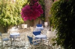 Hotel Grivas in Paros Chora, Paros, Cyclades Islands