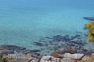 Blue Green Bay_best deals_Hotel_Sporades Islands_Skopelos_Skopelos Chora