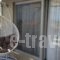 Muses Studios_best deals_Hotel_Aegean Islands_Thasos_Thasos Chora