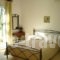 Echinades Resort_holidays_in_Room_Ionian Islands_Lefkada_Vasiliki