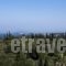 Villa Yannis_lowest prices_in_Villa_Ionian Islands_Corfu_Corfu Rest Areas