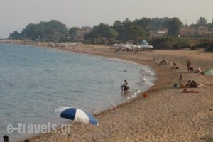Dionysios Studios_lowest prices_in_Hotel_Ionian Islands_Kefalonia_Kefalonia'st Areas