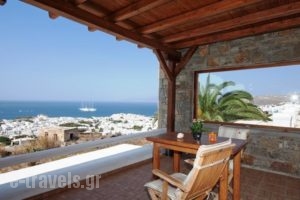 Germanos Studios_best deals_Hotel_Cyclades Islands_Mykonos_Mykonos ora