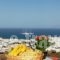 Germanos Studios_lowest prices_in_Hotel_Cyclades Islands_Mykonos_Mykonos ora