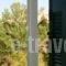 Saint Louis_lowest prices_in_Hotel_Cyclades Islands_Andros_Andros City
