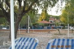 Mirto in Samos Rest Areas, Samos, Aegean Islands