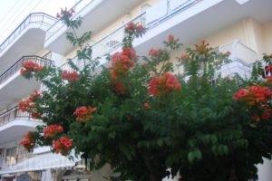 Poseidon_accommodation_in_Hotel_Macedonia_Pieria_Paralia Katerinis