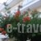 Poseidon_accommodation_in_Hotel_Macedonia_Pieria_Paralia Katerinis