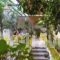 Hotel Ivi_lowest prices_in_Hotel_Cyclades Islands_Antiparos_Antiparos Chora
