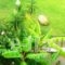 Eleni'Studios_holidays_in_Hotel_Ionian Islands_Kefalonia_Kefalonia'st Areas