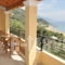 Lidovois Apartments and Studios_accommodation_in_Room_Ionian Islands_Corfu_Corfu Rest Areas