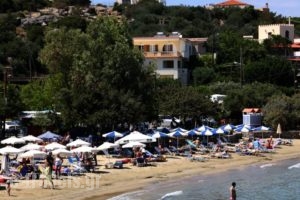Ammoudara Beach Hotel Apartments_best prices_in_Apartment_Crete_Lasithi_Aghios Nikolaos