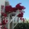 Vanilla Hotel_best deals_Hotel_Cyclades Islands_Mykonos_Mykonos ora